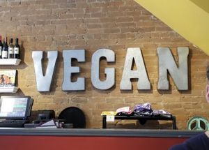 Vegan! at The Dancing Dog in Urbana