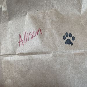 Carry out! at The Dancing Dog in Urbana