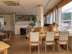 Our small dining room on the 3rd floor, with large windows overlooking Arashiyama. at Ermine's Kitchen in Kyoto