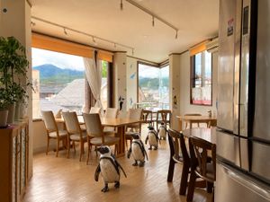 A bright dining room with window seats and views toward the mountains of Arashiyama. at Ermine's Kitchen in Kyoto