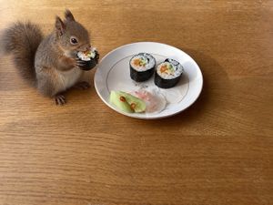 A small forest friend enjoying one of our sushi rolls.
 at Ermine's Kitchen in Kyoto