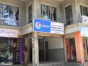 outside at Boddhi Garden Vegetarian Restaurant in Kathmandu