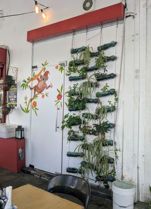 Outside at Alegria in Tel Aviv