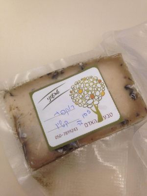 Vegan Roquefort  at Alegria in Tel Aviv