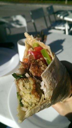 Falafel at Loving Hut Siska - Food Truck in Ljubljana