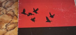  at Cafe Kafka in Vienna