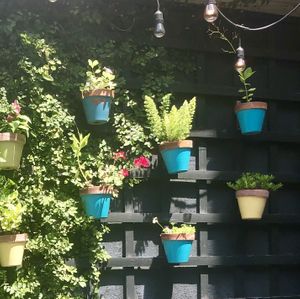 Cute (but hot) outdoor seating area at Brown Dog Deli in Charleston