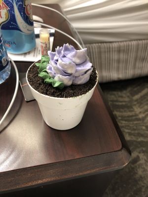 Flower pot chocolate cake!   They have the most amazing desserts! at Dharma Southern Chick'n in Orlando