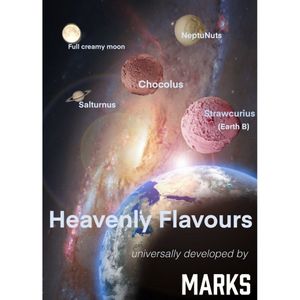 Flavours of the Universe at Marks in Maastricht