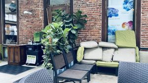   at Green Cup Cafe in Fort Myers