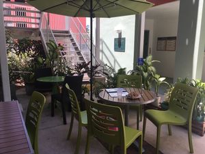 Cool, comfortable, green outdoor area. at Green Cup Cafe in Fort Myers
