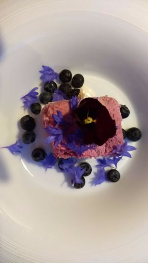 Vegan raw cheesecake at Reliva in Bruges
