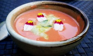 Amuse at Reliva in Bruges