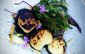 Portobello met vegan bechamel, pastinaak en frisse salade at Reliva in Bruges