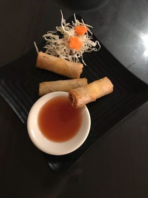 Vegan spring rolls at Kati Thai Cuisine in Gadsden