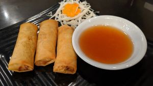 Spring Rolls at Kati Thai Cuisine in Gadsden
