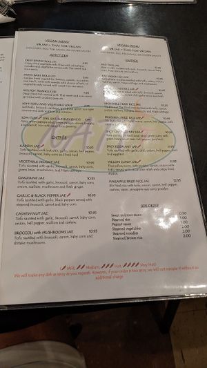 Separate vegan menu at Kati Thai Cuisine in Gadsden