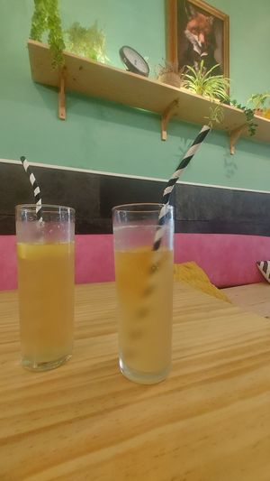 Kombucha at kVegan in Tenerife