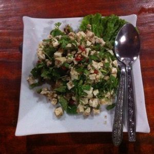 Tofu Laap (25,000 kip) at Lai's Place in Luang Namtha