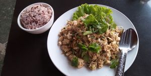 The larb with steamed rice...huge portion and super tasty!  at Lai's Place in Luang Namtha