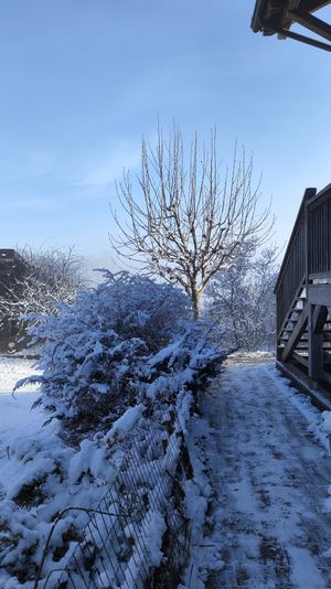  at Campo di Cielo in Cesiomaggiore