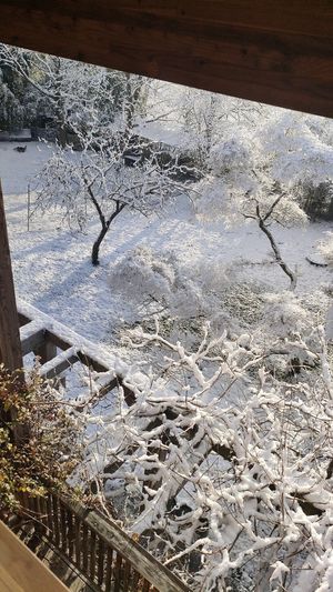  at Campo di Cielo in Cesiomaggiore