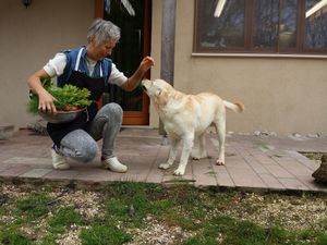 Teresa e Amì at Campo di Cielo in Cesiomaggiore