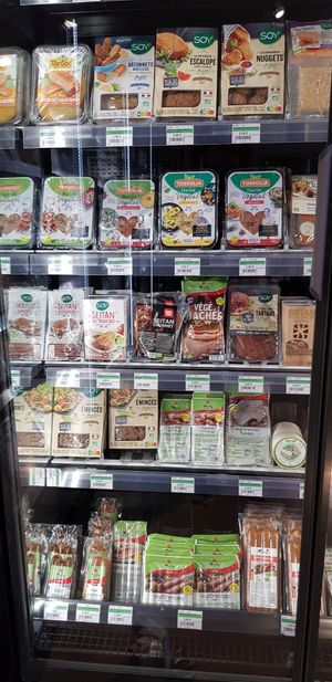 Vegan seitan/soy burgers etc options at Biocoop des Olonnes in Chateau-dolonne