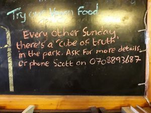 Help our fellow animals at Bookworm's Coffee in Ho Chi Minh City