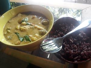 Green curry at The Yogarden in Koh Samui