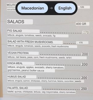 A Google Translation of some menu options at Vega in Skopje