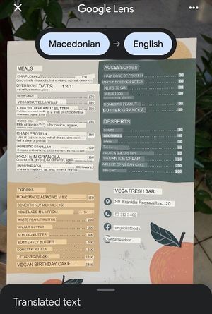 Google Translation of some menu items at Vega in Skopje