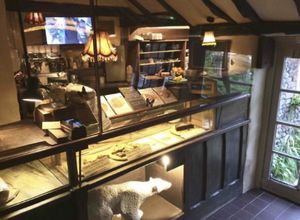  at St. Martin's Organic Coffee House in Chichester