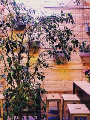 interier  at Chwast Food in Warsaw