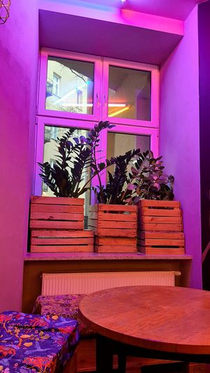 Inside at Chwast Food in Warsaw