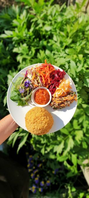Pumpkin thyme arancini ball with salads at The Herb Centre Cafe in Christchurch