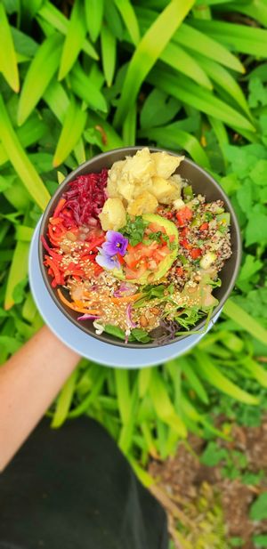 Salad bowl with avocado  at The Herb Centre Cafe in Christchurch