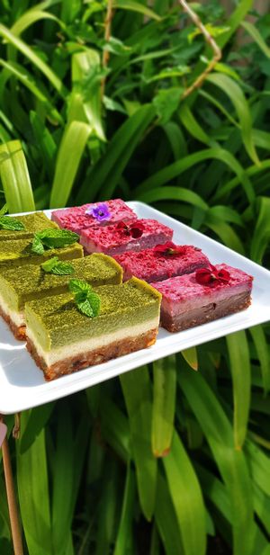 Vegan slices at The Herb Centre Cafe in Christchurch