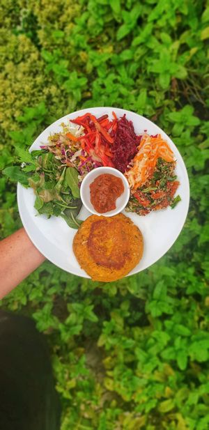 Indian spiced lentil pattie with salads at The Herb Centre Cafe in Christchurch