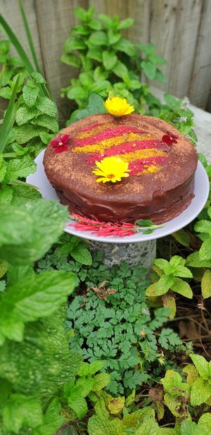 Vegan beetroot mocha mud cake at The Herb Centre Cafe in Christchurch