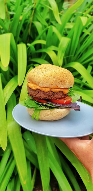 Vegan blackbean burger with chipotle aioli {gf} at The Herb Centre Cafe in Christchurch