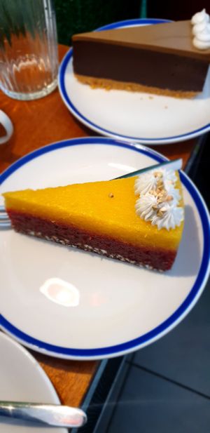 Mango at KIRAS - Totoriu 7 in Vilnius