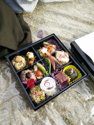 vegan bento at Masumoto - Shinjuku in Tokyo