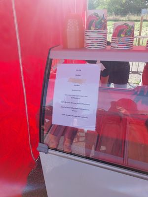 Ice cream flavours vegan at IJskafee Diest in Diest
