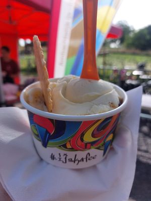 Vegan ice cream at IJskafee Diest in Diest