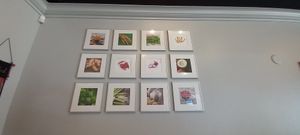 Veggies on the wall! at Thai Meal in Plantation