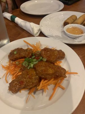 Vegan buffalo chickin wings + spring rolls  at Thai Meal in Plantation