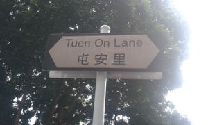 The monastery is on this lane at Ching Leung Fat Yuen Ching Yan Siu Chok in New Territories