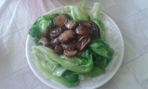 Mushroom & green leaves at Ching Leung Fat Yuen Ching Yan Siu Chok in New Territories