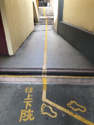 follow the yellow line!!! at Ching Chung Koon 青松觀 in New Territories